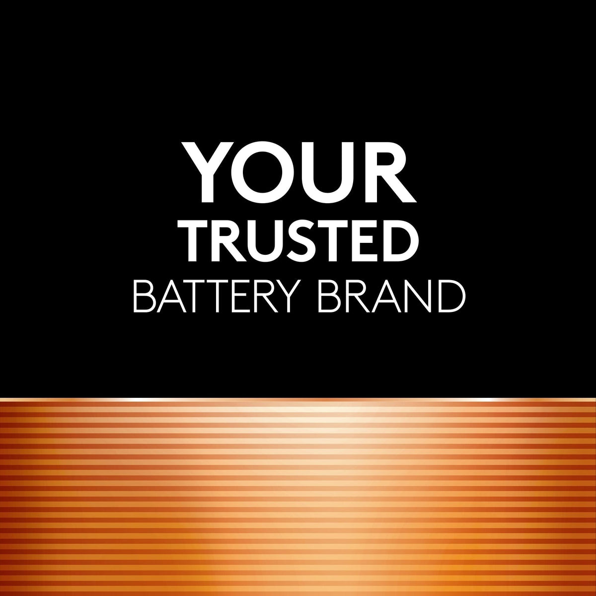 Coppertop AAA Batteries, Alkaline, 4-pk W0K5 - product image 4